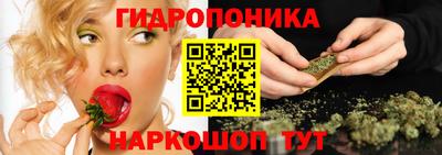 дживик Кингисепп