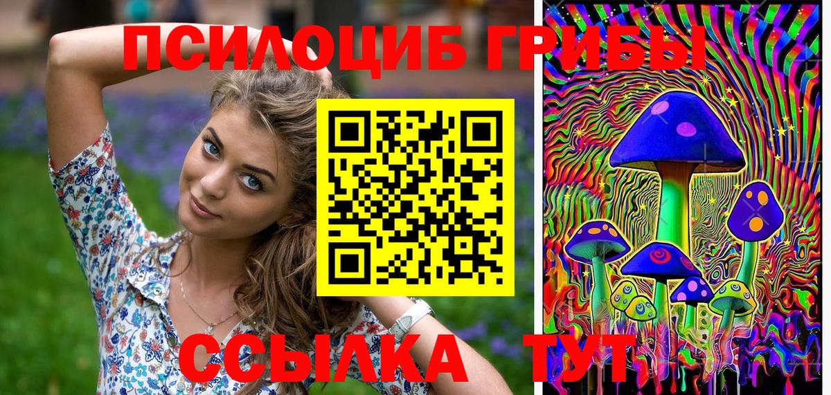 Псилоцибиновые грибы ЛСД Тосно