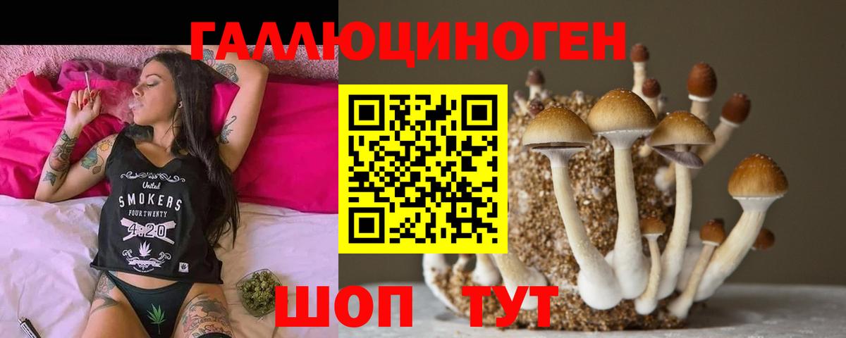 Псилоцибиновые грибы Psilocybe  Псилоцибиновые грибы Psilocybine cubensis  Вход с VPN  Тосно 
